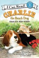 9091 2018-03-07 18:56:52 2024-05-17 02:30:02 Charlie the Ranch Dog: Charlie's New Friend 1 9780062219145 1  9780062219145_small.jpg 4.99 4.49 Drummond, Ree Delightful characters suggest that becoming friends may be the best solution. 2024-05-15 00:00:02 G true  8.93000 6.31000 0.14000 0.16000 000402352 HarperCollins Q Quality Paper I Can Read Level 1 2014-01-07 32 p. ; BK0013476342 Children's - Preschool-3rd Grade, Age 4-8 BKP-3         41 4 1 1 0 ING 9780062219145_medium.jpg 0 resize_120_9780062219145.jpg 0 Drummond, Ree   2.0 In print and available 0 0 0 0 0  1 0  1 2018-03-08 13:48:10 0 5 0