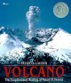 6225 2009-07-01 17:16:15 2024-05-18 02:30:02 Volcano: The Eruption and Healing of Mount St. Helens 1 9780689716799 1  9780689716799_small.jpg 9.99 8.99 Lauber, Patricia  2024-05-15 00:00:02 G true  10.46000 9.20000 0.24000 0.70000 000062709 Simon & Schuster Books for Young Readers Q Quality Paper  1993-03-31 64 p. ; BK0002160744 Children's - 2nd-5th Grade, Age 7-10 BK2-5  1987 Newbery Honor    Newbery Medal | Honor Book | Children's | 1987   82 5 4 1 0 ING 9780689716799_medium.jpg 0 resize_120_9780689716799.jpg 0 Lauber, Patricia   4.8 In print and available 0 0 0 0 0 1980 1 0 1980 1 2016-06-15 14:41:25 0 18 0