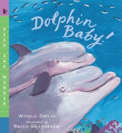 Dolphin Baby!: Read and Wonder