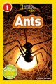 9692 2024-10-08 14:52:21 2024-10-16 02:30:05 Ants (National Geographic Kids Readers, Level 1) 1 9781426306082 1  9781426306082_small.jpg 5.99 5.39 Stewart, Melissa  2024-10-16 00:00:05    9.00000 6.00000 0.10000 0.18000 000773361 National Geographic Kids Q Quality Paper National Geographic Kids Readers 2010-01-12 32 p. ;  Children's - Preschool-Kindergarten, Age 3-5 BKP-K            0 0 ING 9781426306082_medium.jpg 0 resize_120_9781426306082.jpg 0 Stewart, Melissa   2.5 In print and available 0 0 0 0 0  1 0  1 2024-10-14 13:26:16 1 35 0