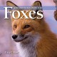 8869 2017-01-25 19:42:02 2024-05-10 02:30:02 Exploring the World of Foxes 1 9781554076161 1  9781554076161_small.jpg 6.95 6.26 Read, Tracy C. Provides an interesting introduction to a fascinating creature and features full-color photographs to illustrate many details. 2024-05-08 00:00:02 M true  6.64000 7.86000 0.08000 0.20000 000023698 Firefly Books Q Quality Paper Exploring the World of 2010-03-12 24 p. ; BK0008626244 Children's - 2nd-5th Grade, Age 7-10 BK2-5         75 3 3 1 0 ING 9781554076161_medium.jpg 0 resize_120_9781554076161.jpg 0 Read, Tracy C.   4.2 In print and available 0 0 0 0 0  1 0  1 2017-01-25 19:49:24 0 0 0
