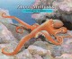 8794 2016-12-22 14:29:47 2024-07-01 02:30:02 About Mollusks: A Guide for Children 1 9781561454068 1  9781561454068_small.jpg 7.95 7.16 Sill, Cathryn  2024-06-26 00:00:02 M true  8.50000 10.10000 0.10000 0.46000 000051306 Peachtree Publishers Q Quality Paper About. . . 2008-03-04 40 p. ; BK0007645354 Children's - Preschool-2nd Grade, Age 3-7 BKP-2            0 0 ING 9781561454068_medium.jpg 0 resize_120_9781561454068.jpg 0 Sill, Cathryn   2.6 In print and available 0 0 0 0 0  1 0  1 2016-12-22 14:32:18 0 0 0