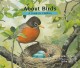 9018 2017-12-28 11:10:50 2024-07-01 02:30:02 About Birds: A Guide for Children 1 9781561456994 1  9781561456994_small.jpg 8.99 8.09 Sill, Cathryn  2024-06-26 00:00:02 M true  9.80000 8.20000 0.20000 0.35000 000051306 Peachtree Publishers Q Quality Paper About. . . 2013-04-02 40 p. ; BK0012092321 Children's - Preschool-2nd Grade, Age 3-7 BKP-2        Was BAS for Grade 1 Questioning 43 2 1 1 0 ING 9781561456994_medium.jpg 0 resize_120_9781561456994.jpg 0 Sill, Cathryn   1.2 In print and available 0 0 0 0 0  1 0  1 2017-12-28 12:39:01 0 3 0